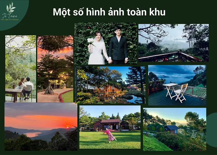 JE T'AIME VILLA - Khu Nghỉ Dưỡng Nhà Vườn Nằm Giữa Thiên Nhiên Bao La Hoa CỏVilla